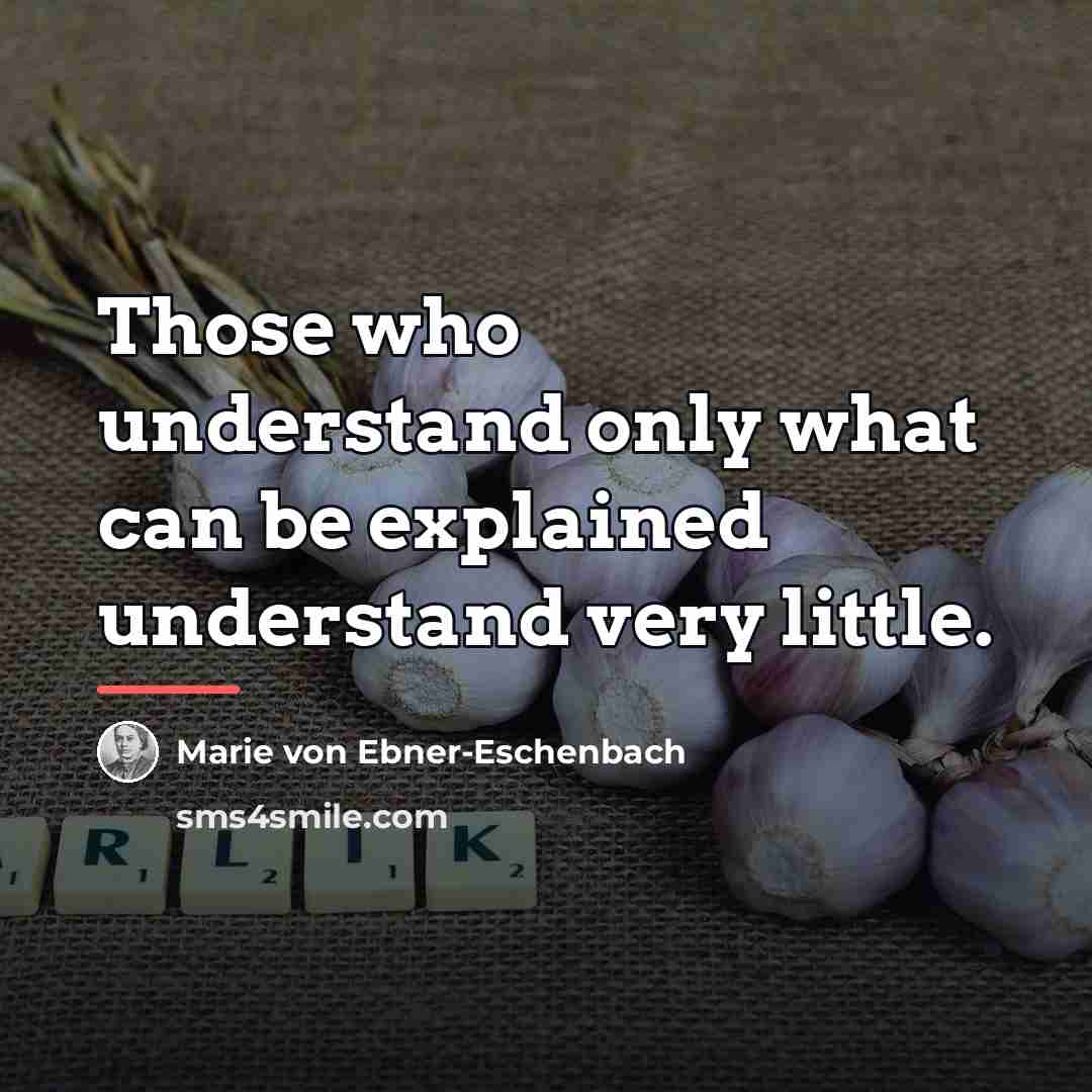 “Those who understand only what can be explained understand very…” quote by Marie von Ebner-Eschenbach