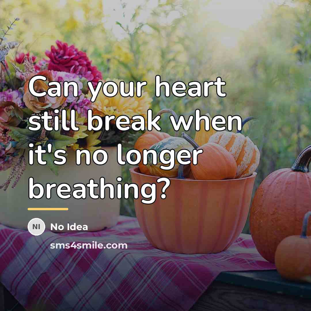 “Can your heart still break when it's no longer breathing?…” quote by NO IDEA