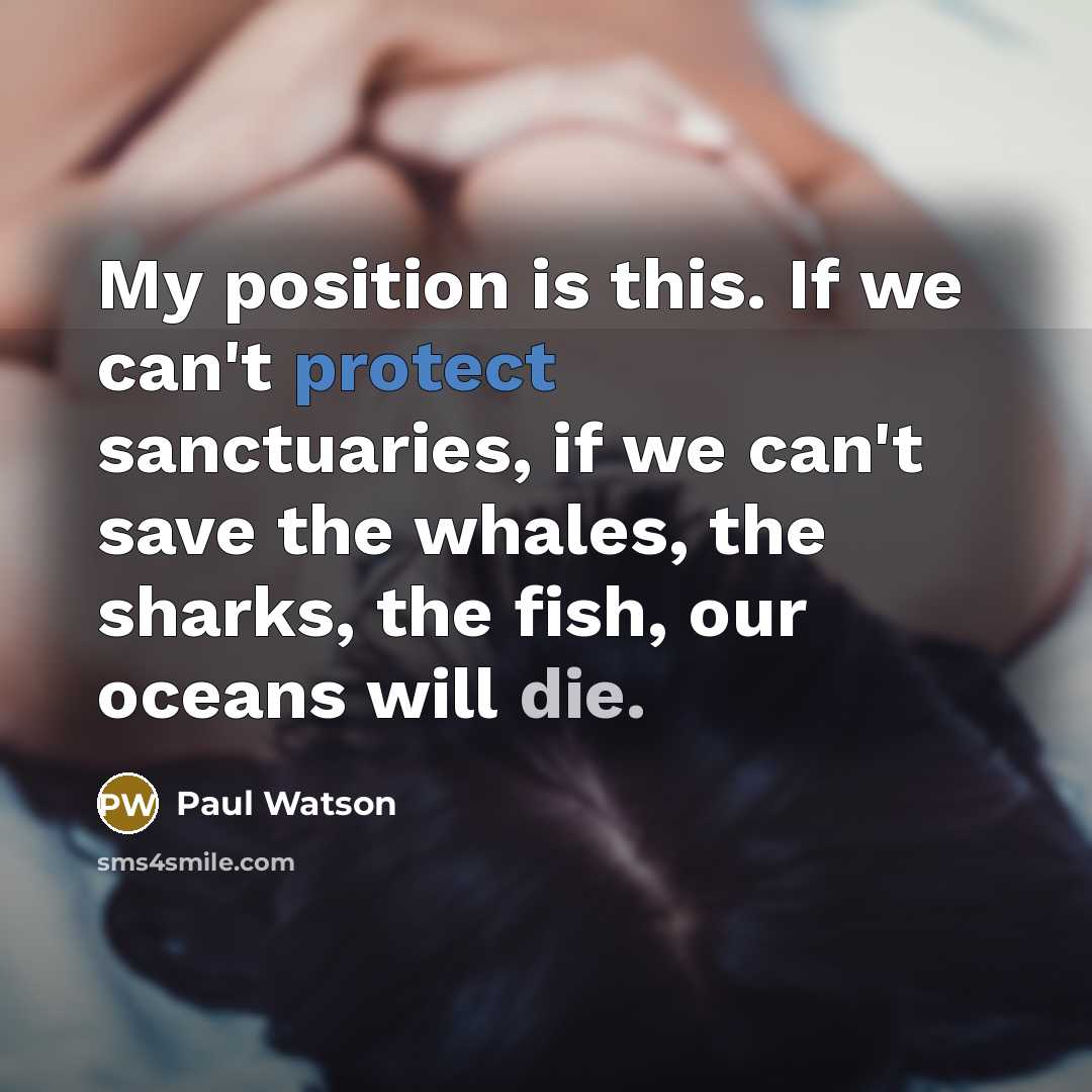 “My position is this. If we can't protect sanctuaries, if…” quote by Paul Watson