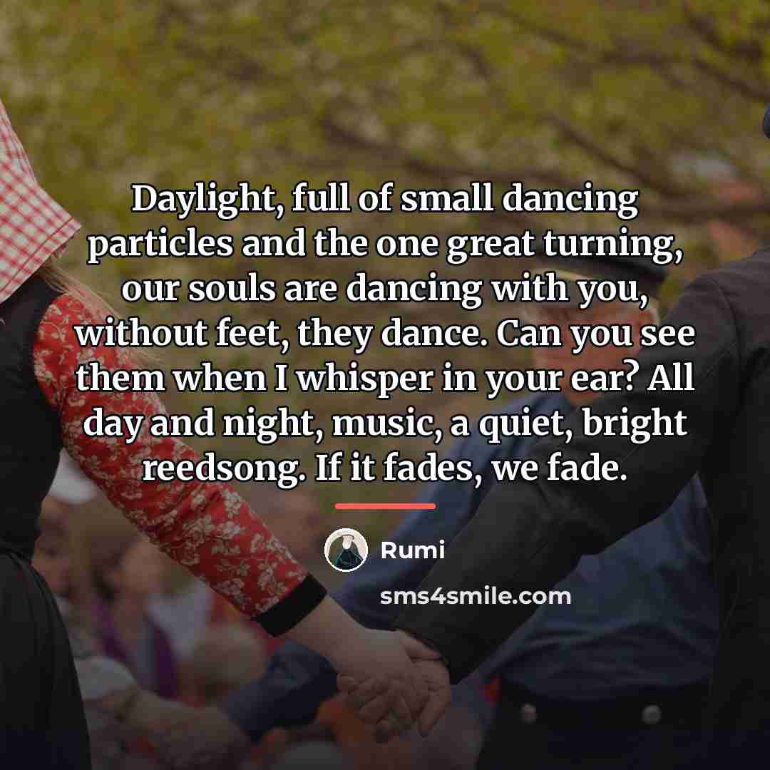 “Daylight, full of small dancing particles and the one great…” quote by Rumi