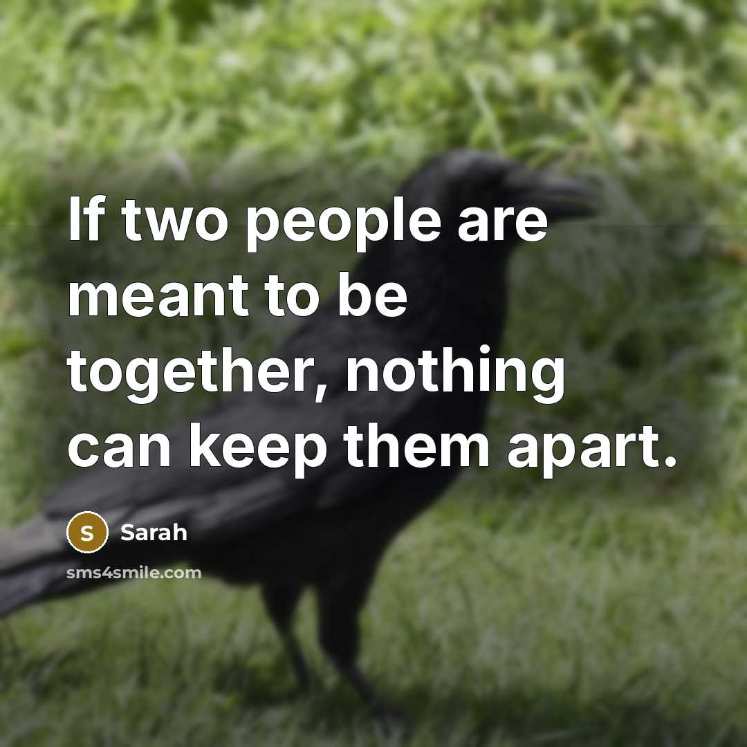 “If two people are meant to be together, nothing can…” quote by Sarah
