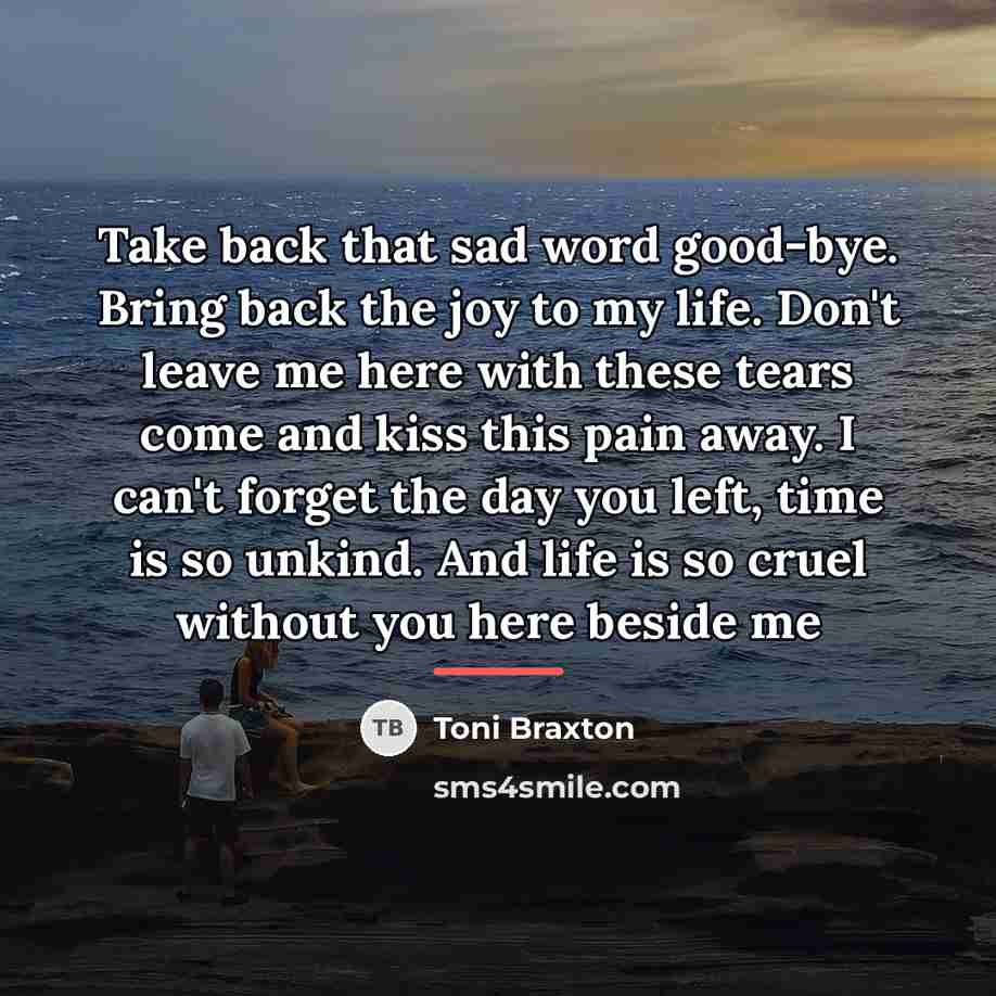 “Take back that sad word good-bye. Bring back the joy…” quote by Toni Braxton