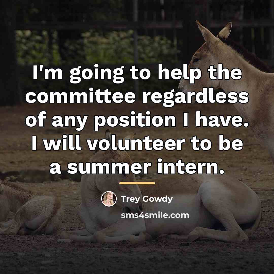“I'm going to help the committee regardless of any position…” quote by Trey Gowdy