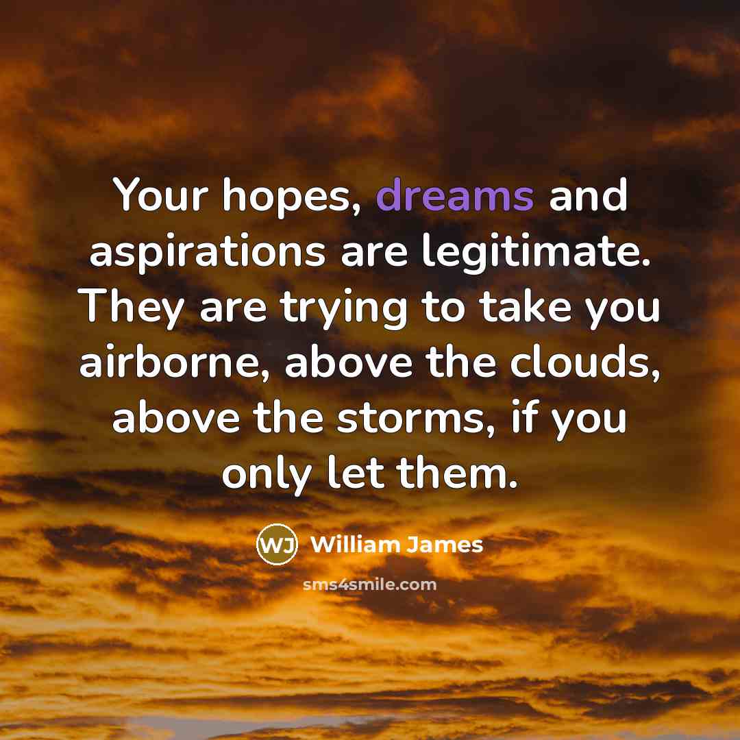 “Your hopes, dreams and aspirations are legitimate. They are trying…” quote by William James