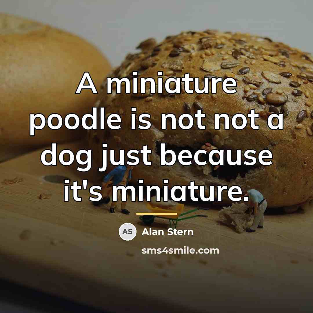 “A miniature poodle is not not a dog just because…” quote by Alan Stern