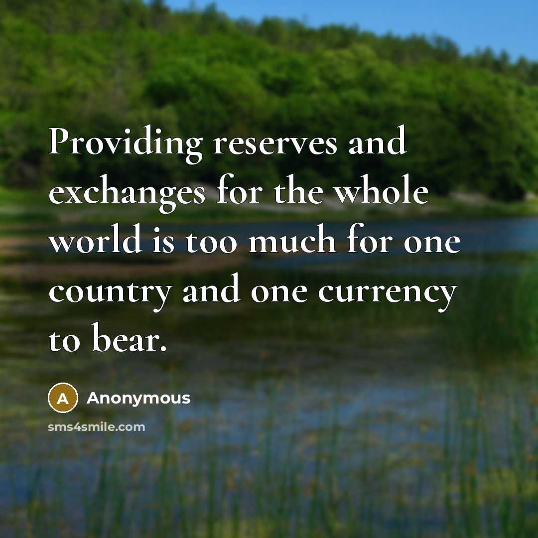 “Providing reserves and exchanges for the whole world is too much for one country and one currency to bear.” quote by Anonymous
