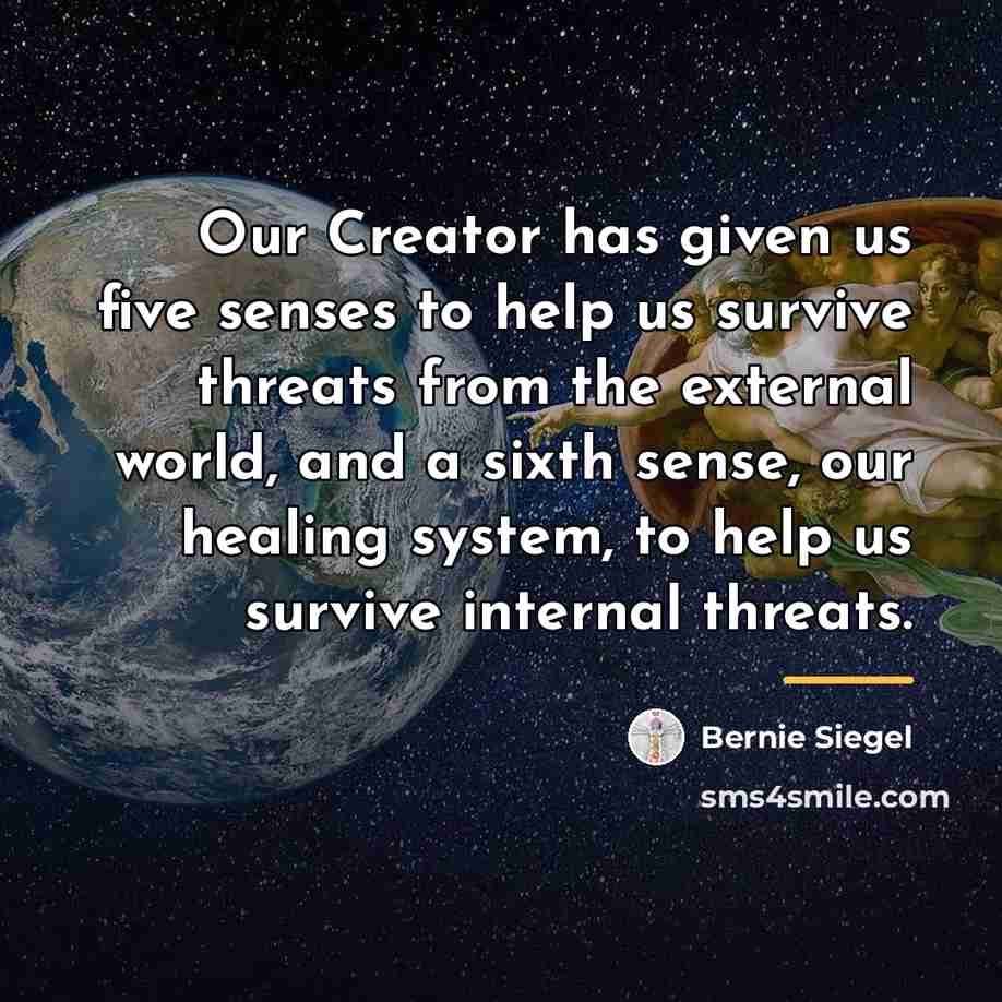 “Our Creator has given us five senses to help us…” quote by Bernie Siegel