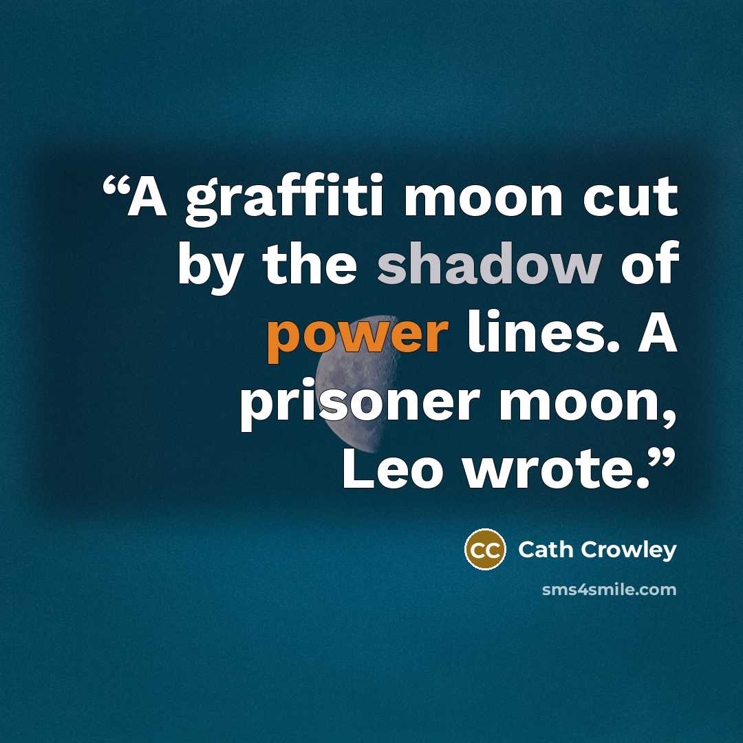 “A graffiti moon cut by the shadow of power lines. A prisoner moon, Leo wrote.” quote by Cath Crowley
