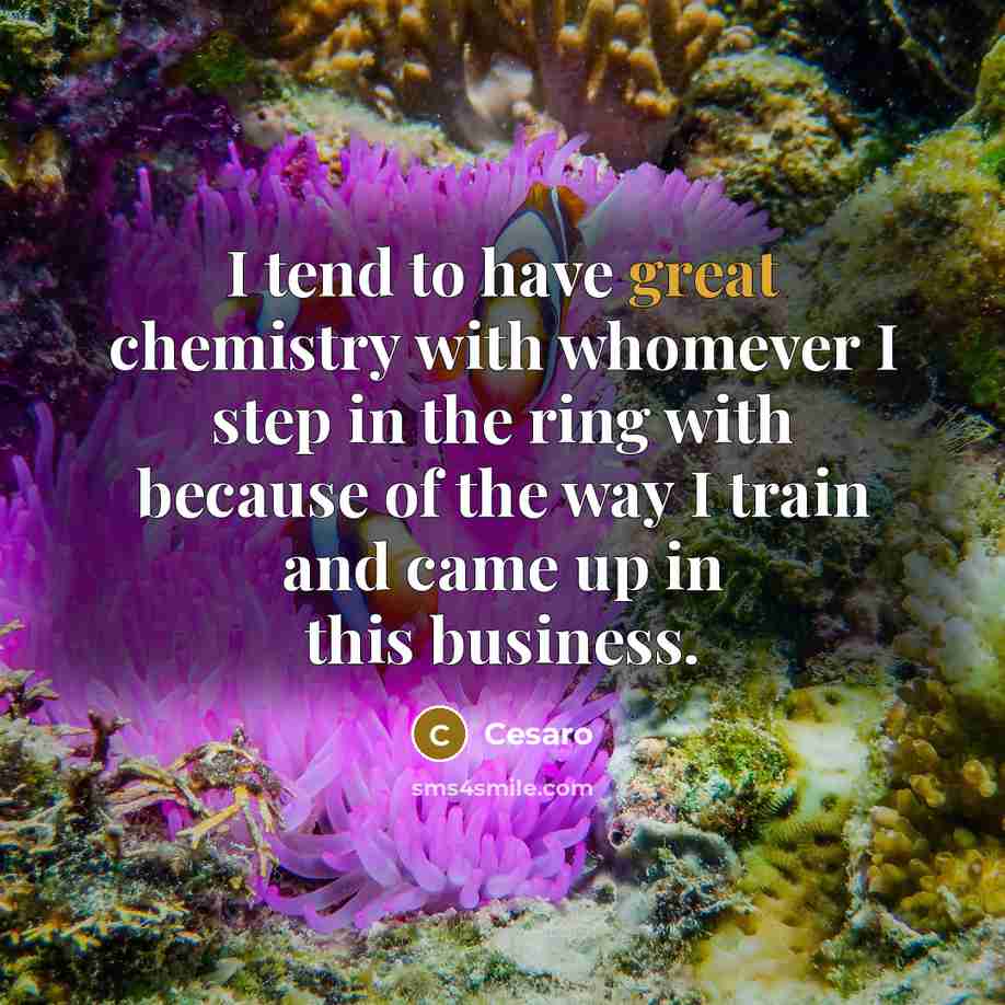 “I tend to have great chemistry with whomever I step…” quote by Cesaro