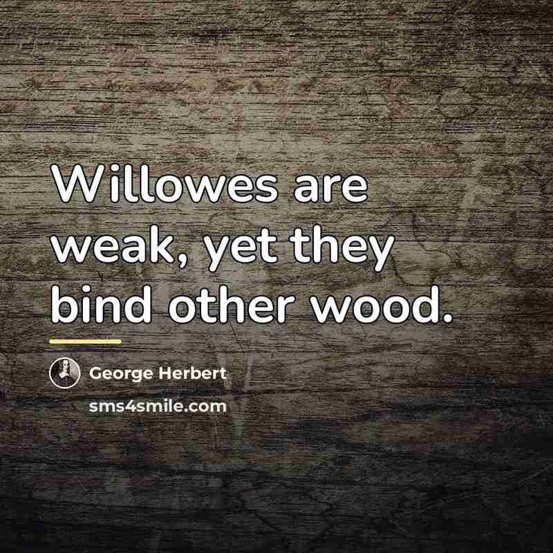“Willowes are weak, yet they bind other wood.…” quote by George Herbert