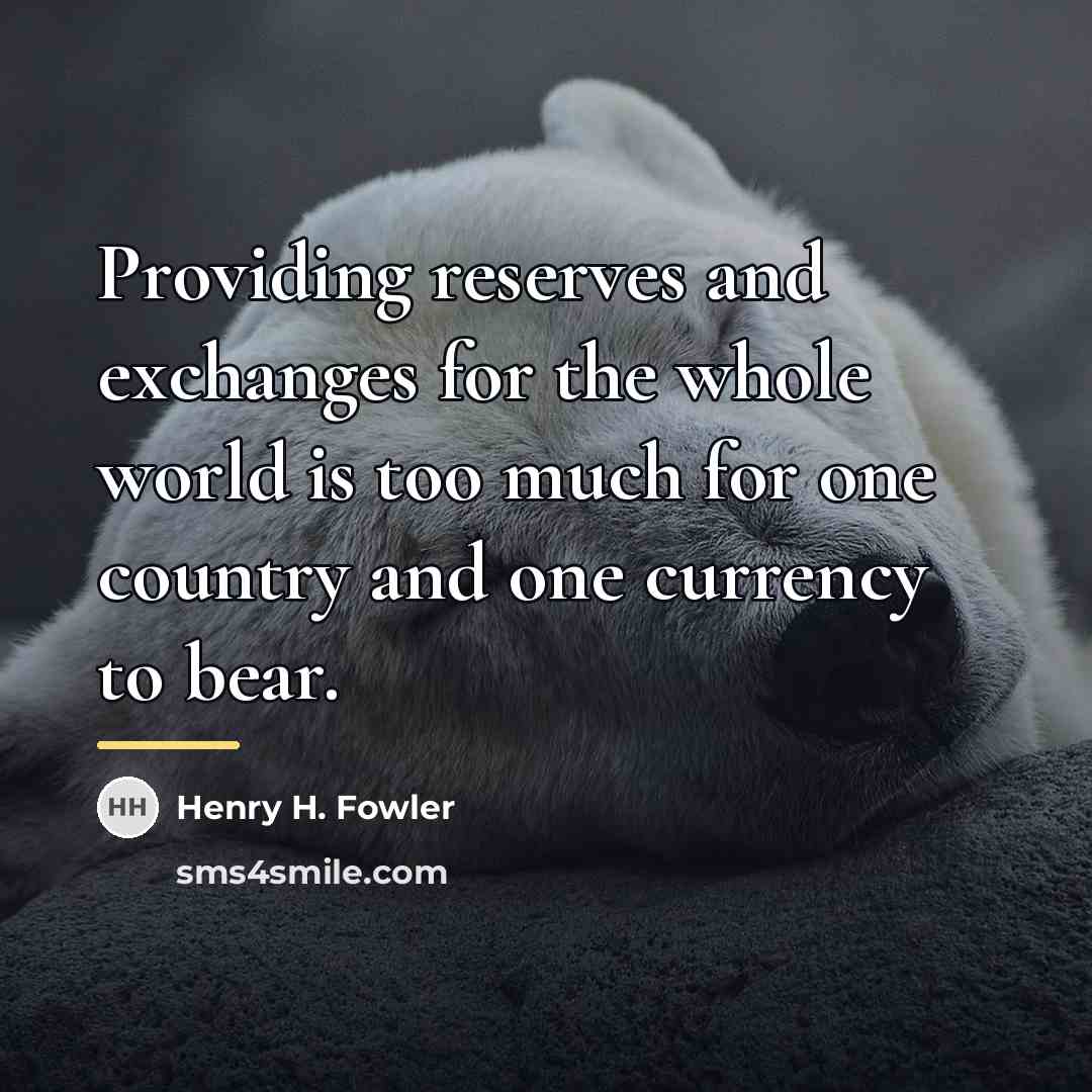 “Providing reserves and exchanges for the whole world is too…” quote by Anonymous