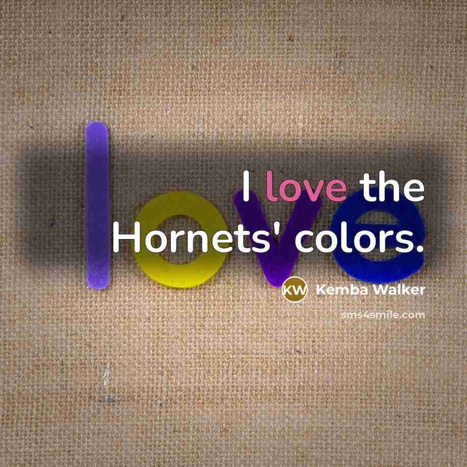 “I love the Hornets' colors.” quote by Kemba Walker