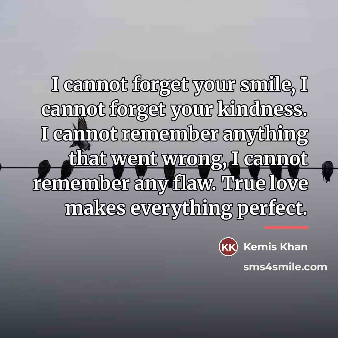 “I cannot forget your smile, I cannot forget your kindness.…” quote by Kemis Khan