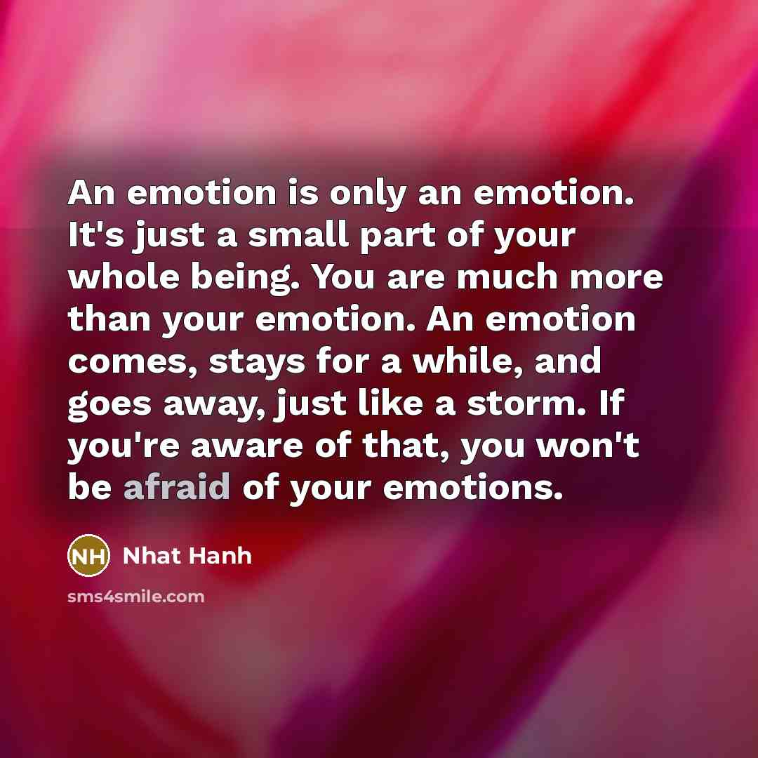 “An emotion is only an emotion. It's just a small…” quote by Nhat Hanh