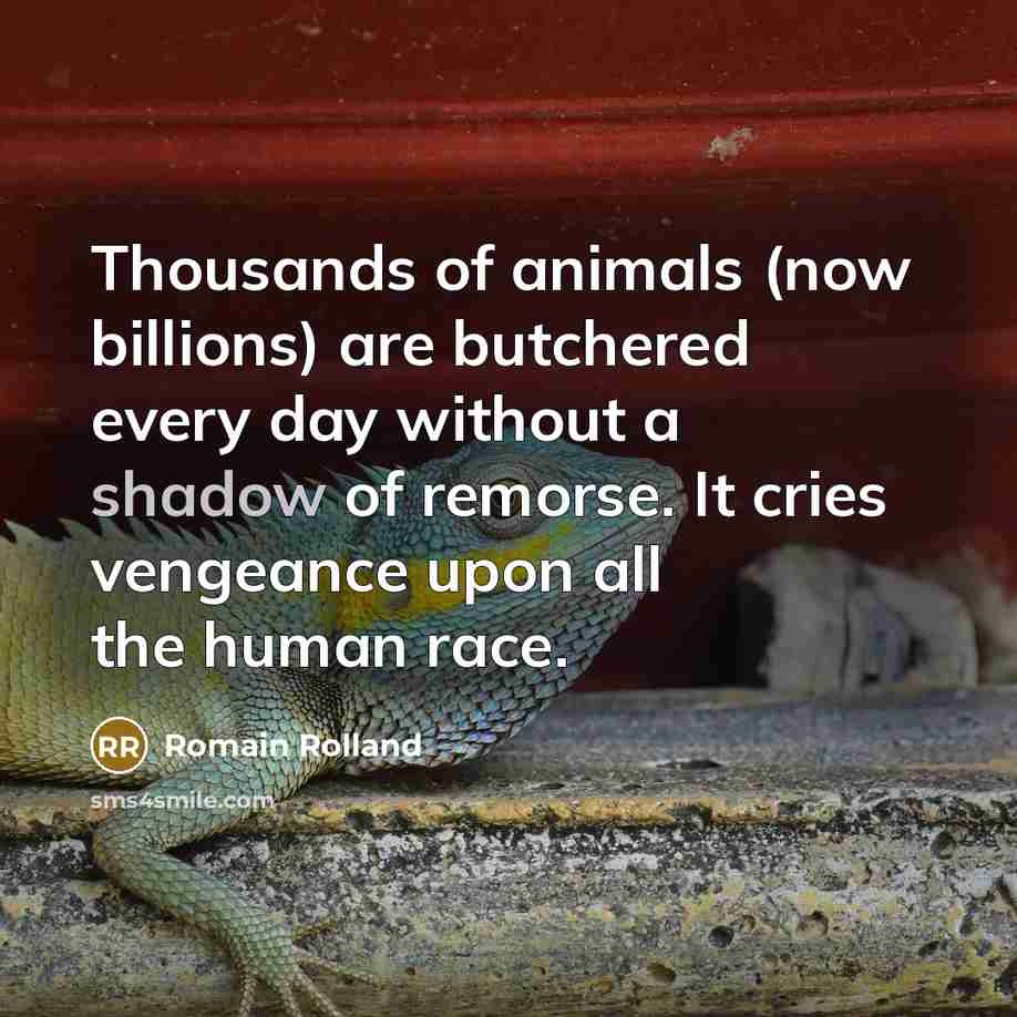 “Thousands of animals (now billions) are butchered every day without…” quote by Romain Rolland