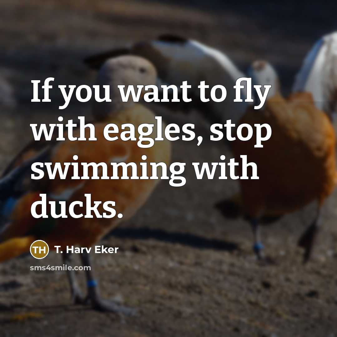 “If you want to fly with eagles, stop swimming with…” quote by T. Harv Eker