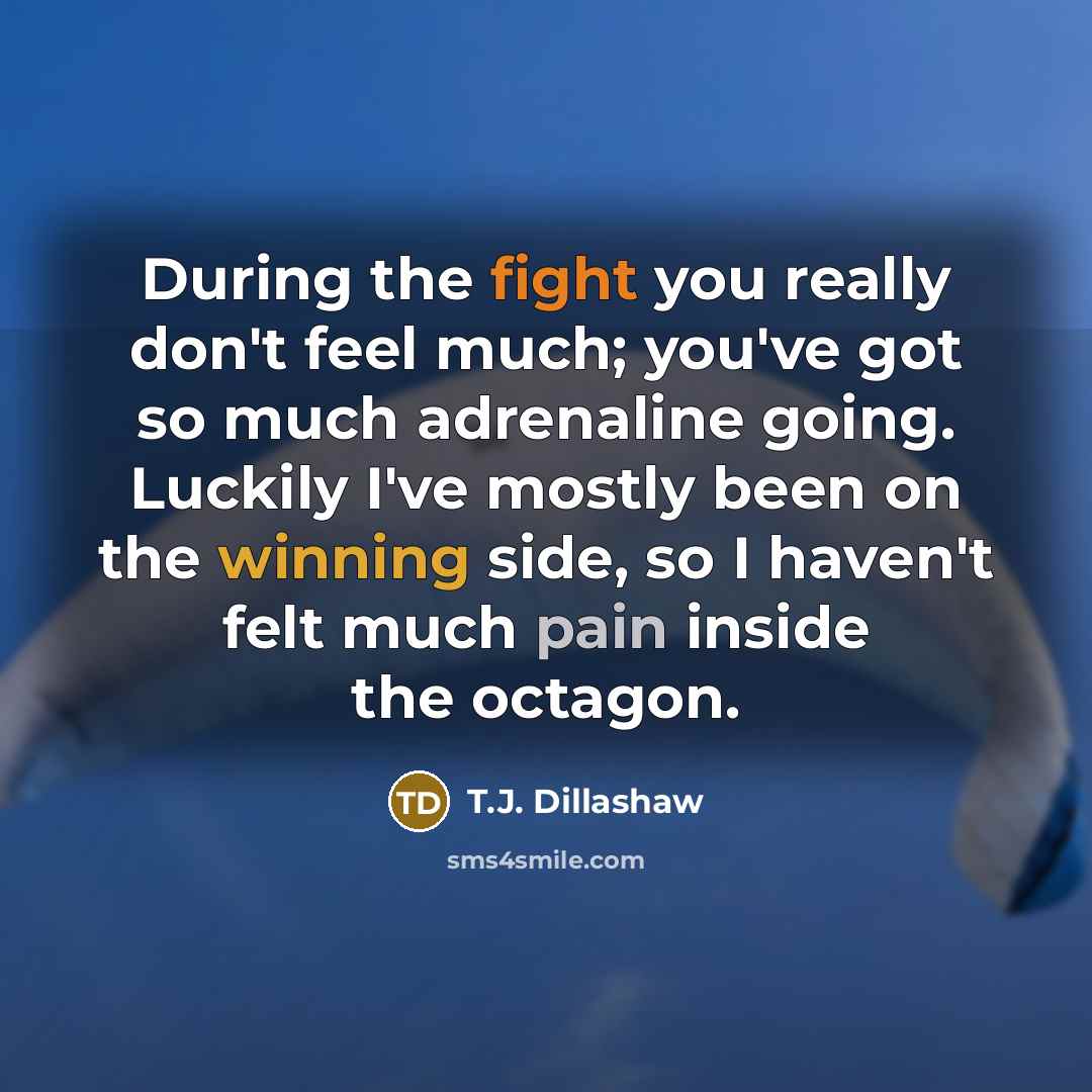 “During the fight you really don't feel much; you've got…” quote by T.J. Dillashaw
