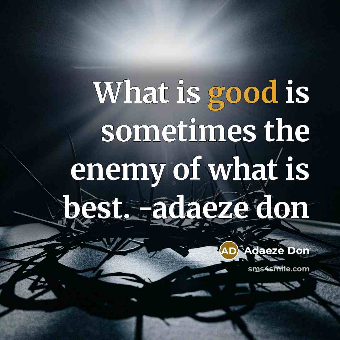 “What is good is sometimes the enemy of what is…” quote by Adaeze Don