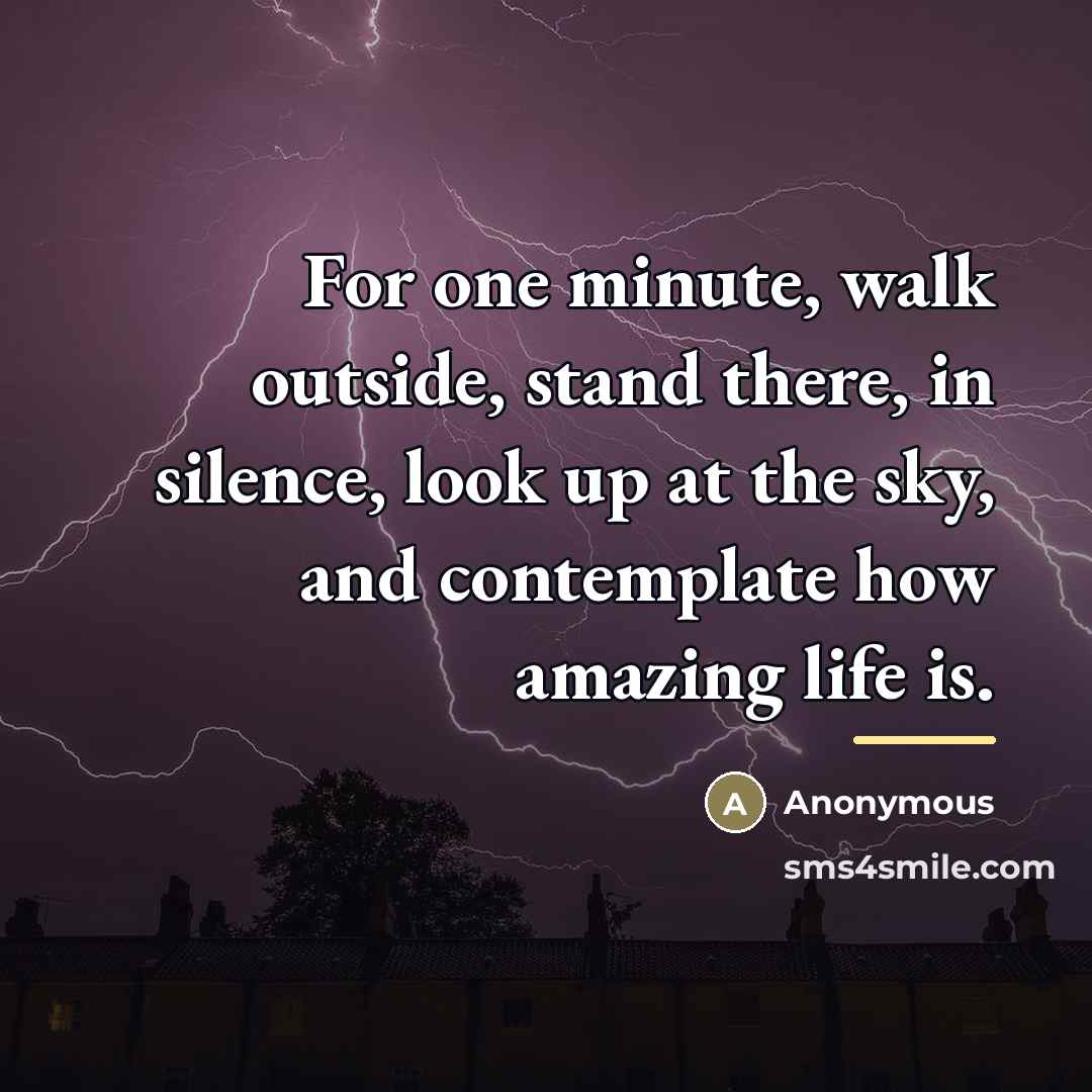 “For one minute, walk outside, stand there, in silence, look…” quote by Anonymous
