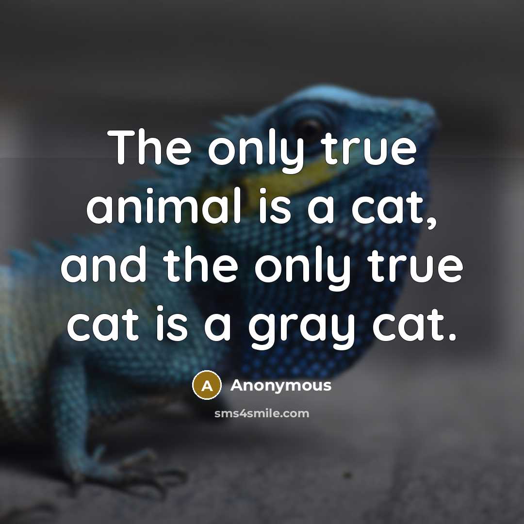“The only true animal is a cat, and the only…” quote by Anonymous