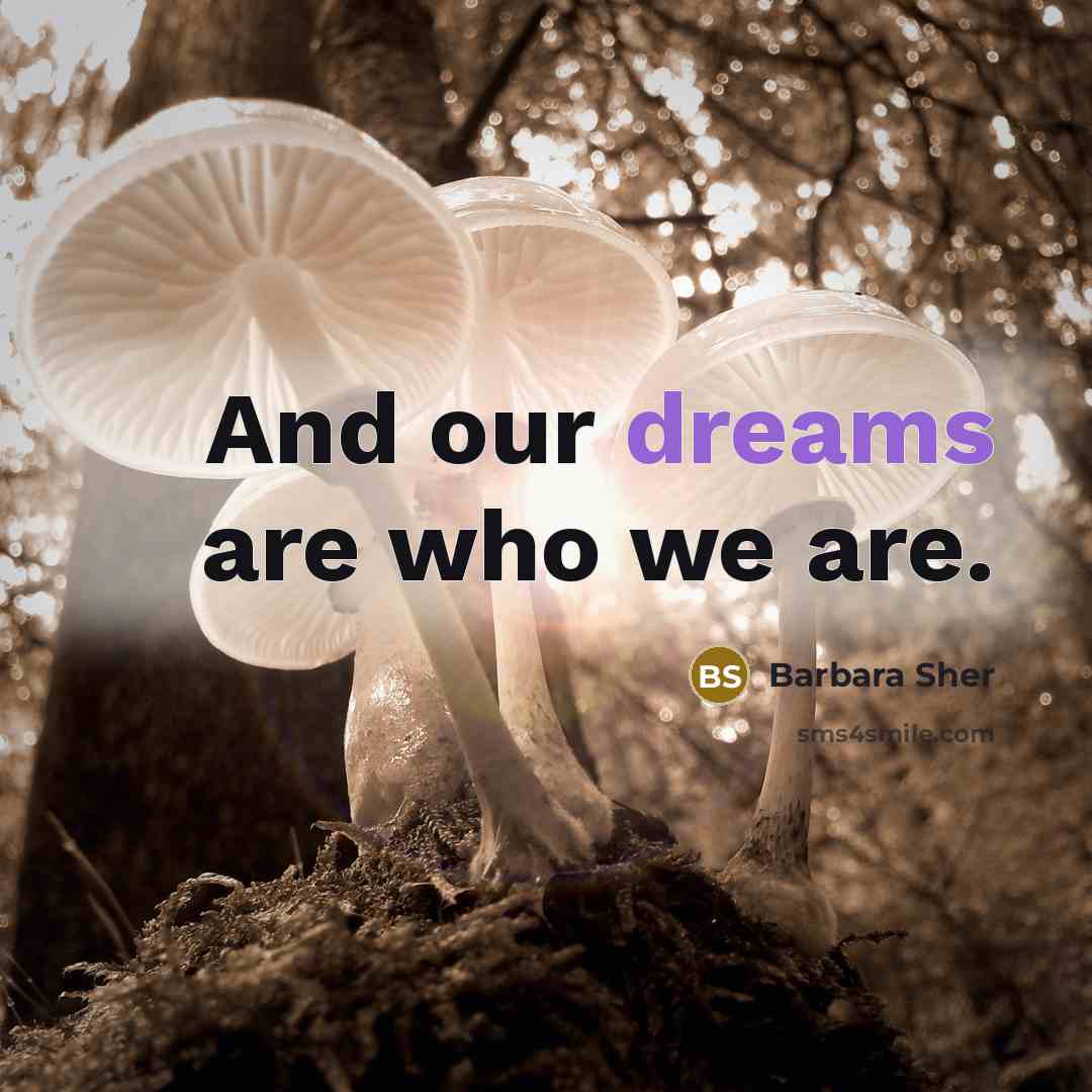 “And our dreams are who we are.…” quote by Barbara Sher