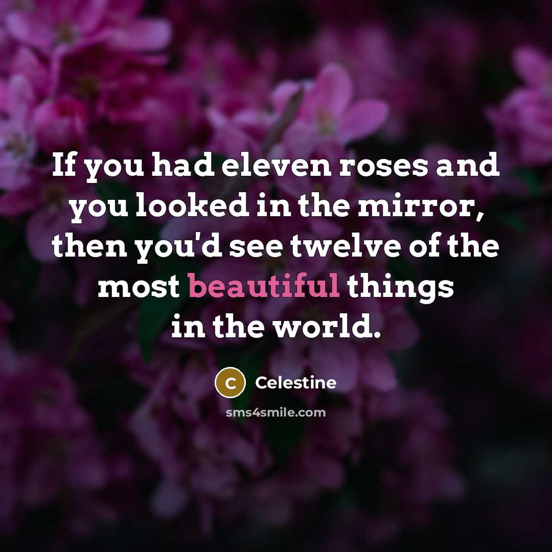 “If you had eleven roses and you looked in the…” quote by Celestine