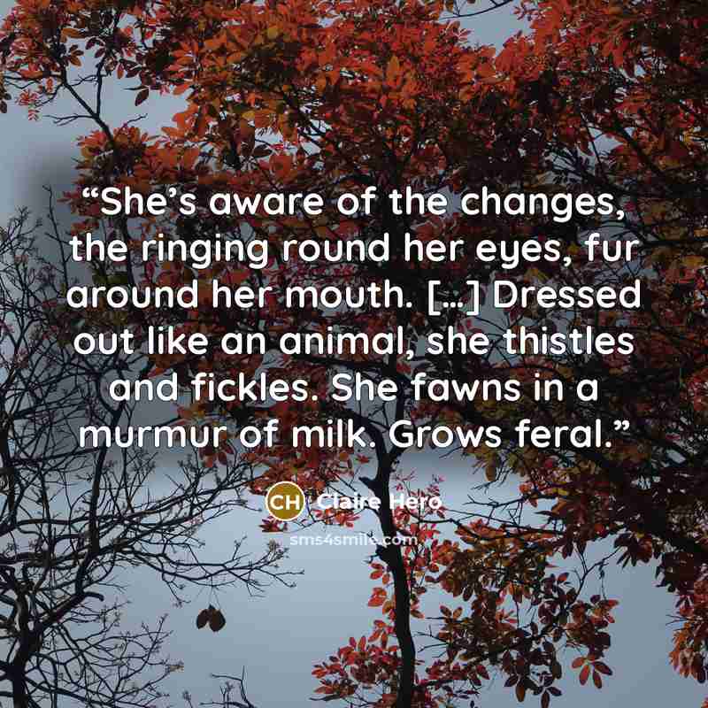 “She’s aware of the changes, the ringing round her eyes, fur around her mouth. […] Dressed out like an animal, she thistles and fickles. She fawns in a murmur of milk. Grows feral.” quote by Claire Hero