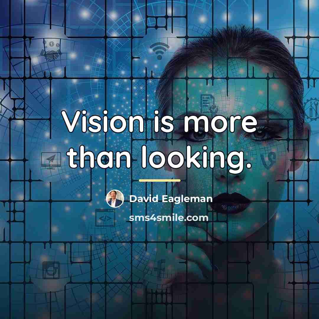 “Vision is more than looking.…” quote by David Eagleman