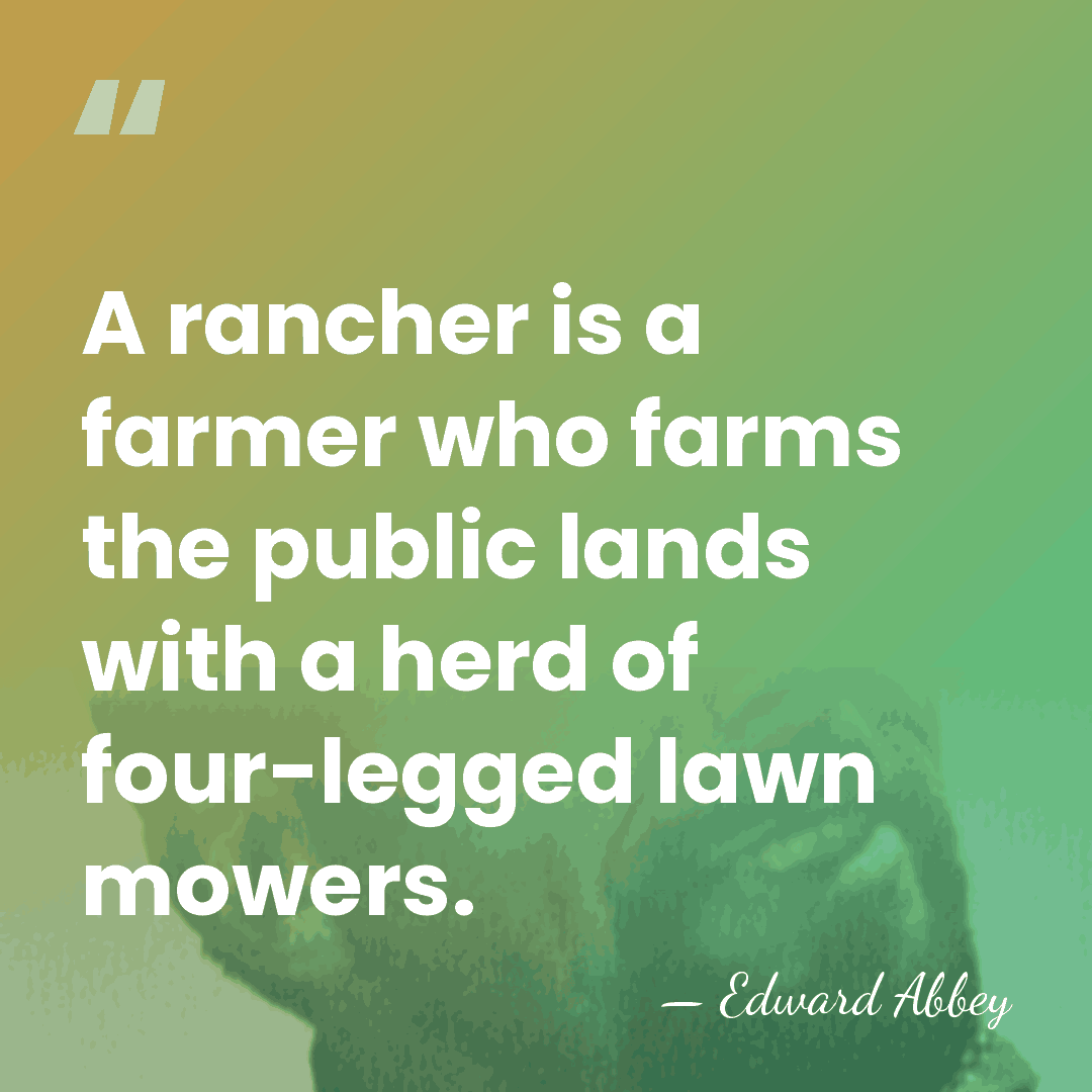 A rancher is a farmer who farms the public lands with a&hellip; - Edward Abbey