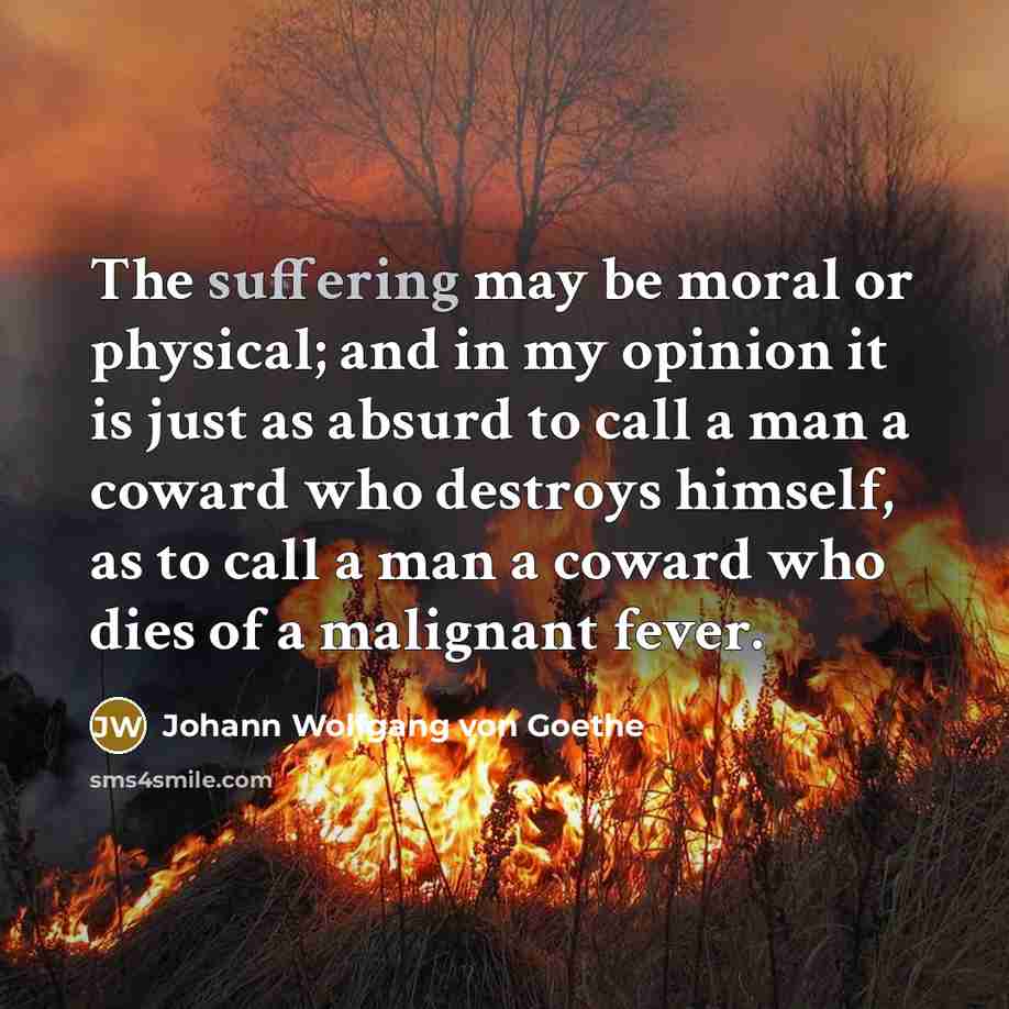 “The suffering may be moral or physical; and in my…” quote by Johann Wolfgang von Goethe