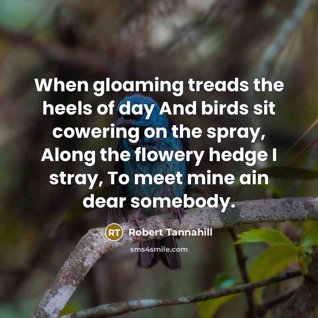 “When gloaming treads the heels of day And birds sit…” quote by Robert Tannahill