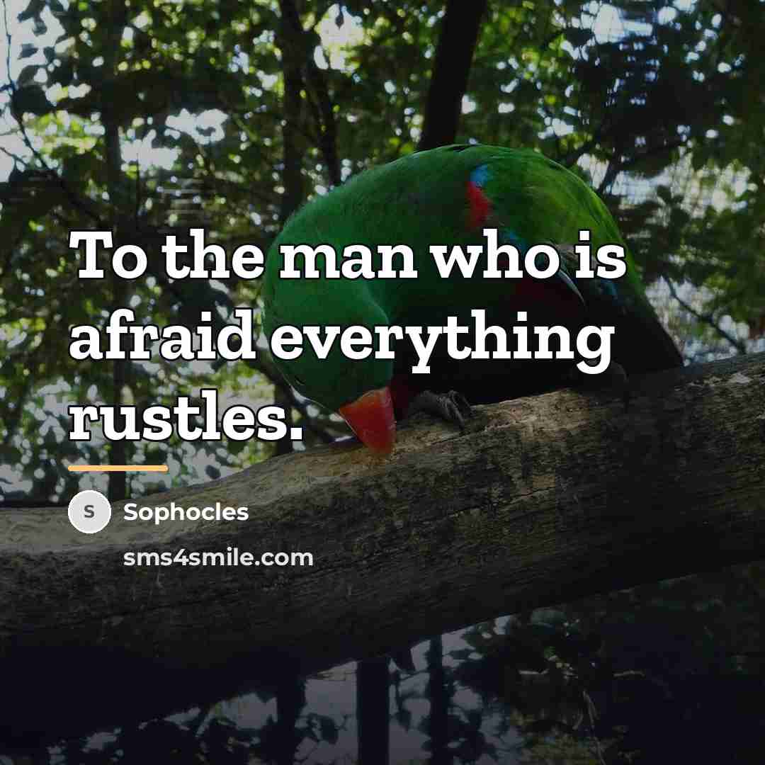 “To the man who is afraid everything rustles.…” quote by Sophocles