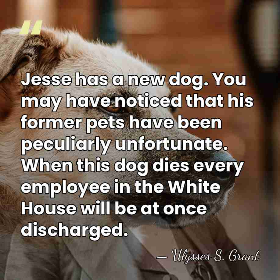 Jesse has a new dog. You may have noticed that his former&hellip; - Ulysses S. Grant