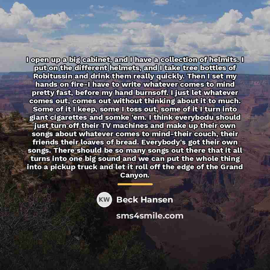 “I open up a big cabinet, and I have a…” quote by Beck Hansen