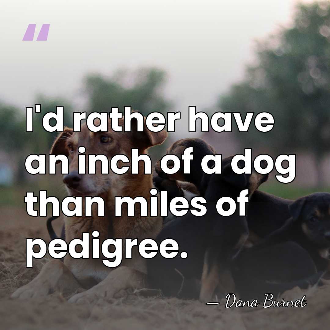 I'd rather have an inch of a dog than miles of pedigree. - Dana Burnet
