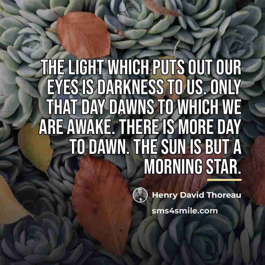 “The light which puts out our eyes is darkness to…” quote by Henry David Thoreau