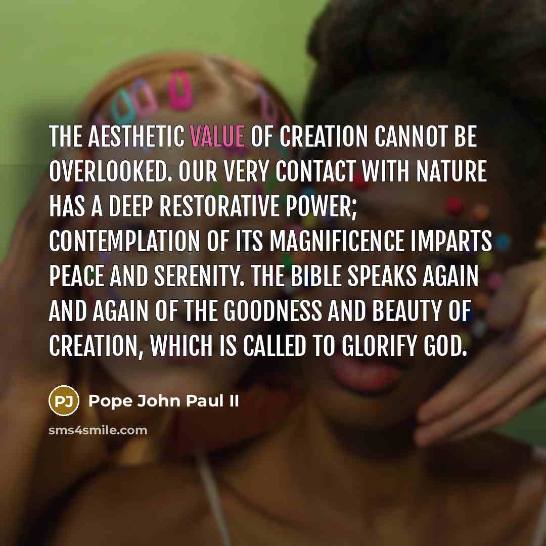 “The aesthetic value of creation cannot be overlooked. Our very…” quote by Pope John Paul II