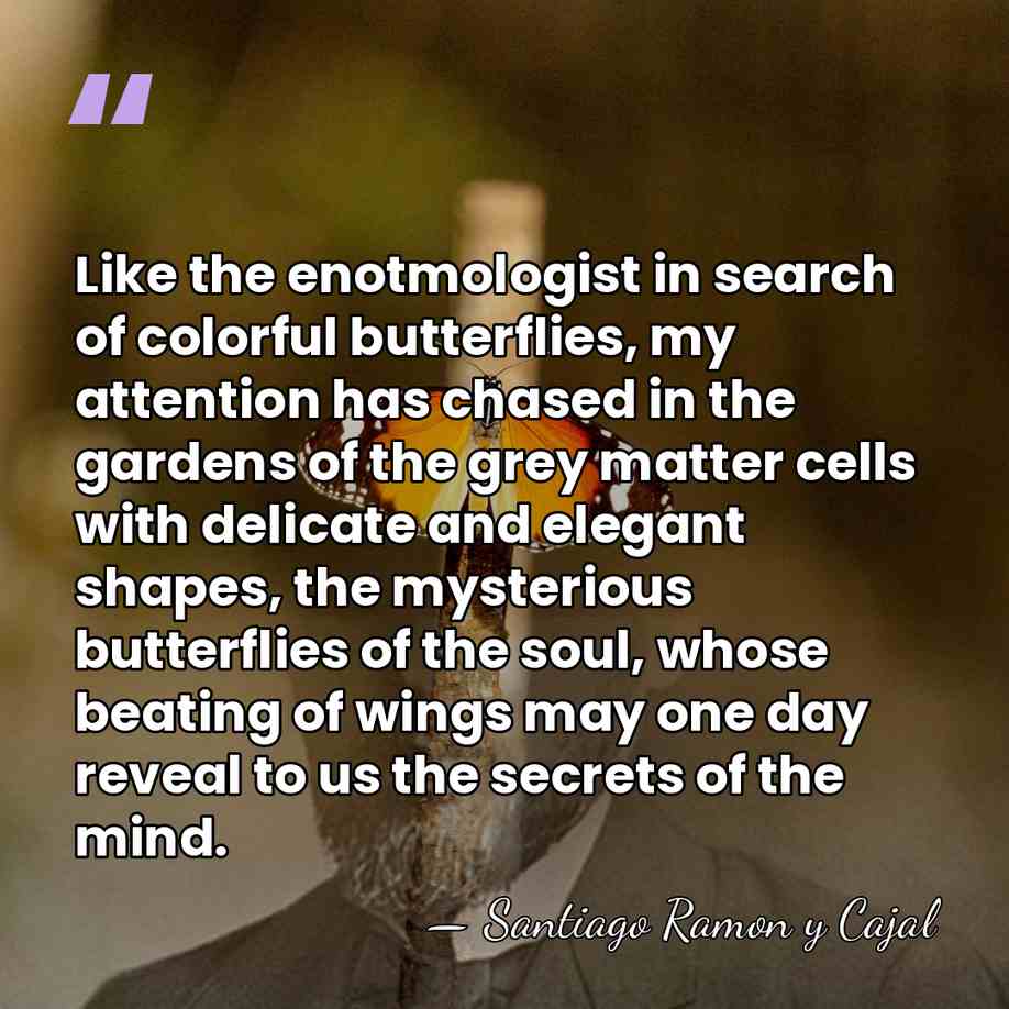 Like the enotmologist in search of colorful butterflies, my attention has chased&hellip; - Santiago Ramon y Cajal