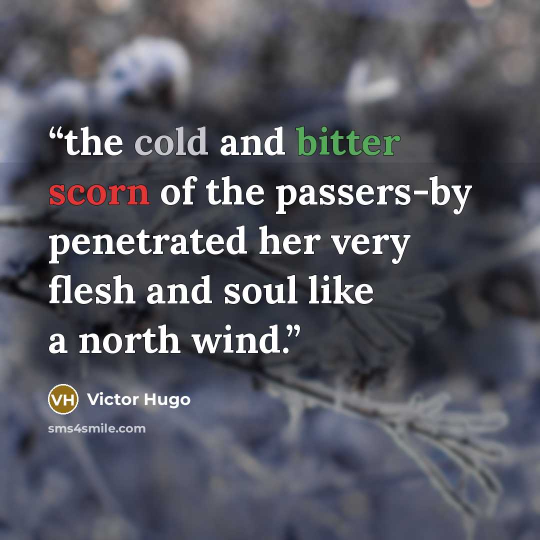 “the cold and bitter scorn of the passers-by penetrated her very flesh and soul like a north wind.” quote by Victor Hugo