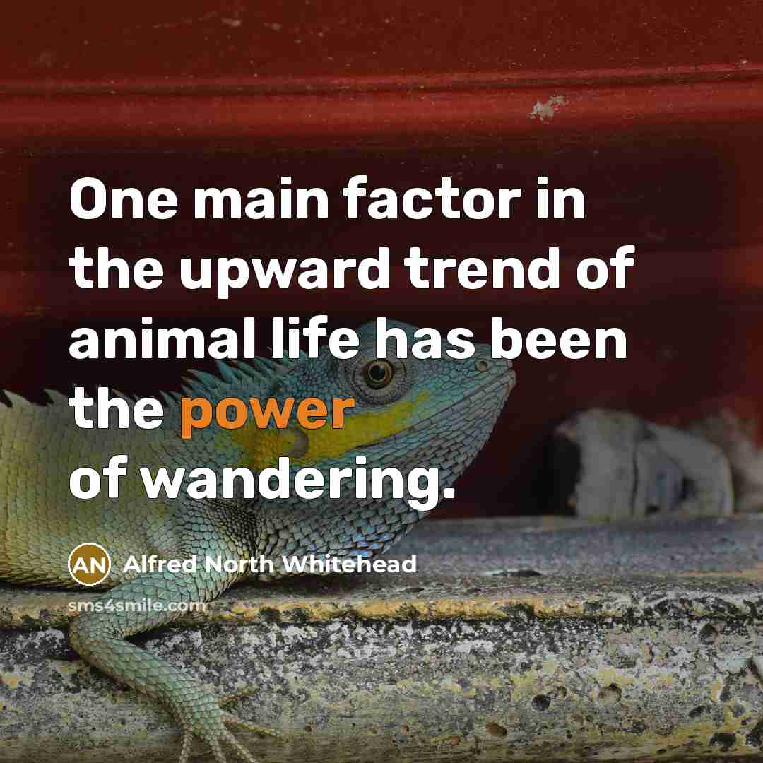 “One main factor in the upward trend of animal life…” quote by Alfred North Whitehead