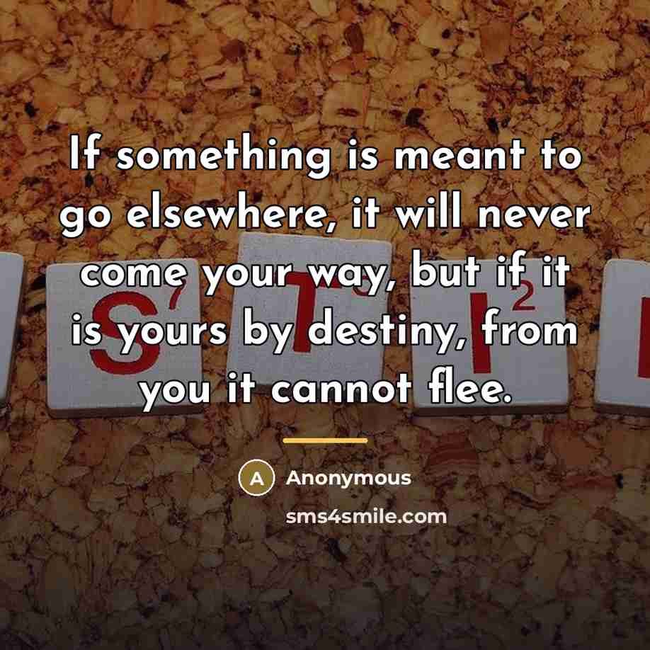 “If something is meant to go elsewhere, it will never…” quote by Anonymous