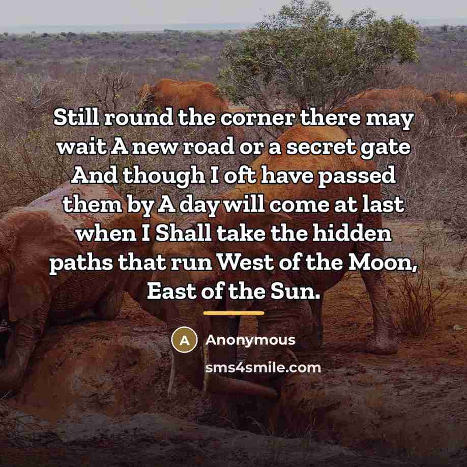 “Still round the corner there may wait A new road…” quote by Anonymous
