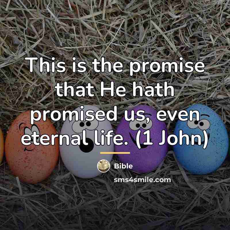 “This is the promise that He hath promised us, even…” quote by Bible