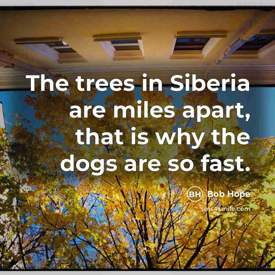 “The trees in Siberia are miles apart, that is why…” quote by Bob Hope
