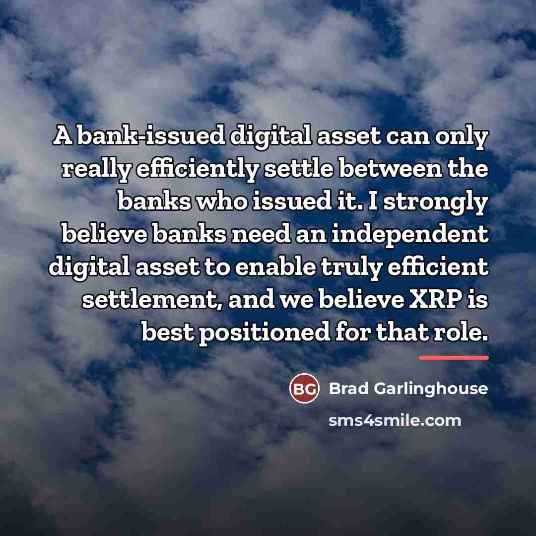 “A bank-issued digital asset can only really efficiently settle between…” quote by Brad Garlinghouse