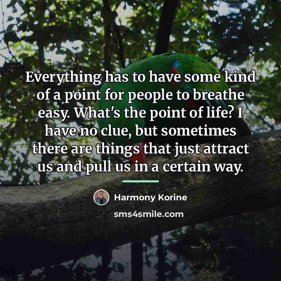 “Everything has to have some kind of a point for…” quote by Harmony Korine
