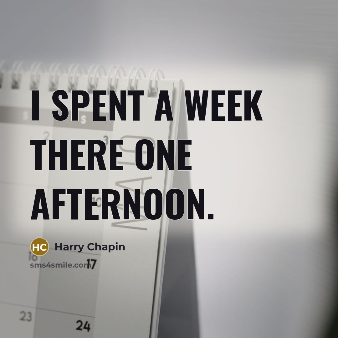 “I spent a week there one afternoon.…” quote by Harry Chapin