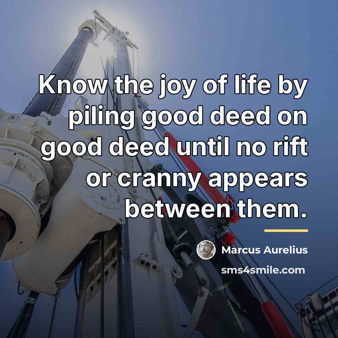 “Know the joy of life by piling good deed on…” quote by Marcus Aurelius
