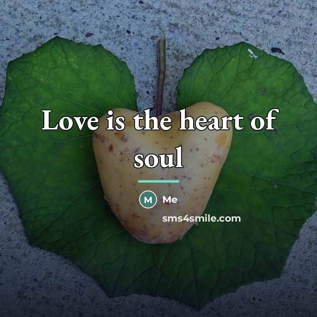 “Love is the heart of soul…” quote by Me