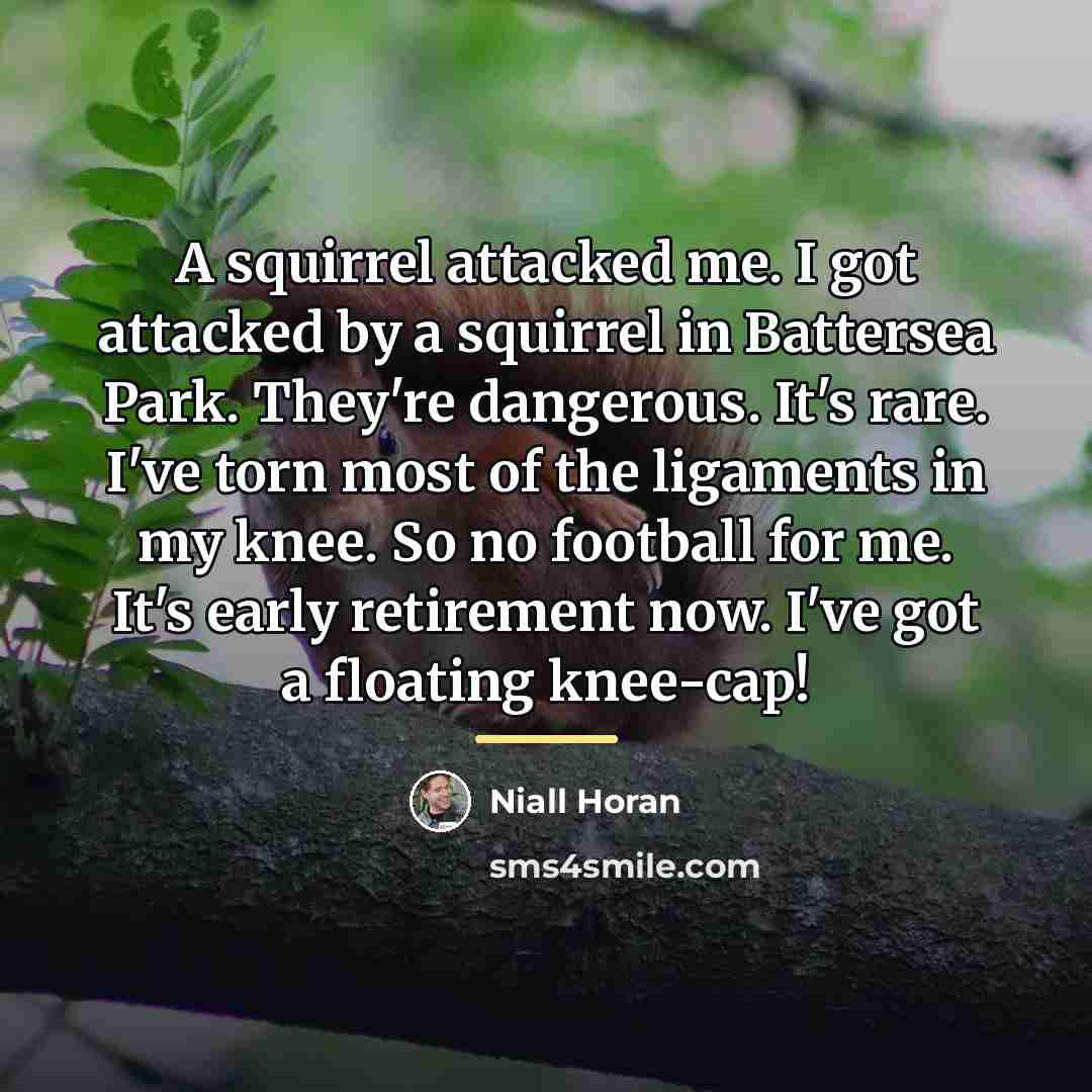 “A squirrel attacked me. I got attacked by a squirrel…” quote by Niall Horan
